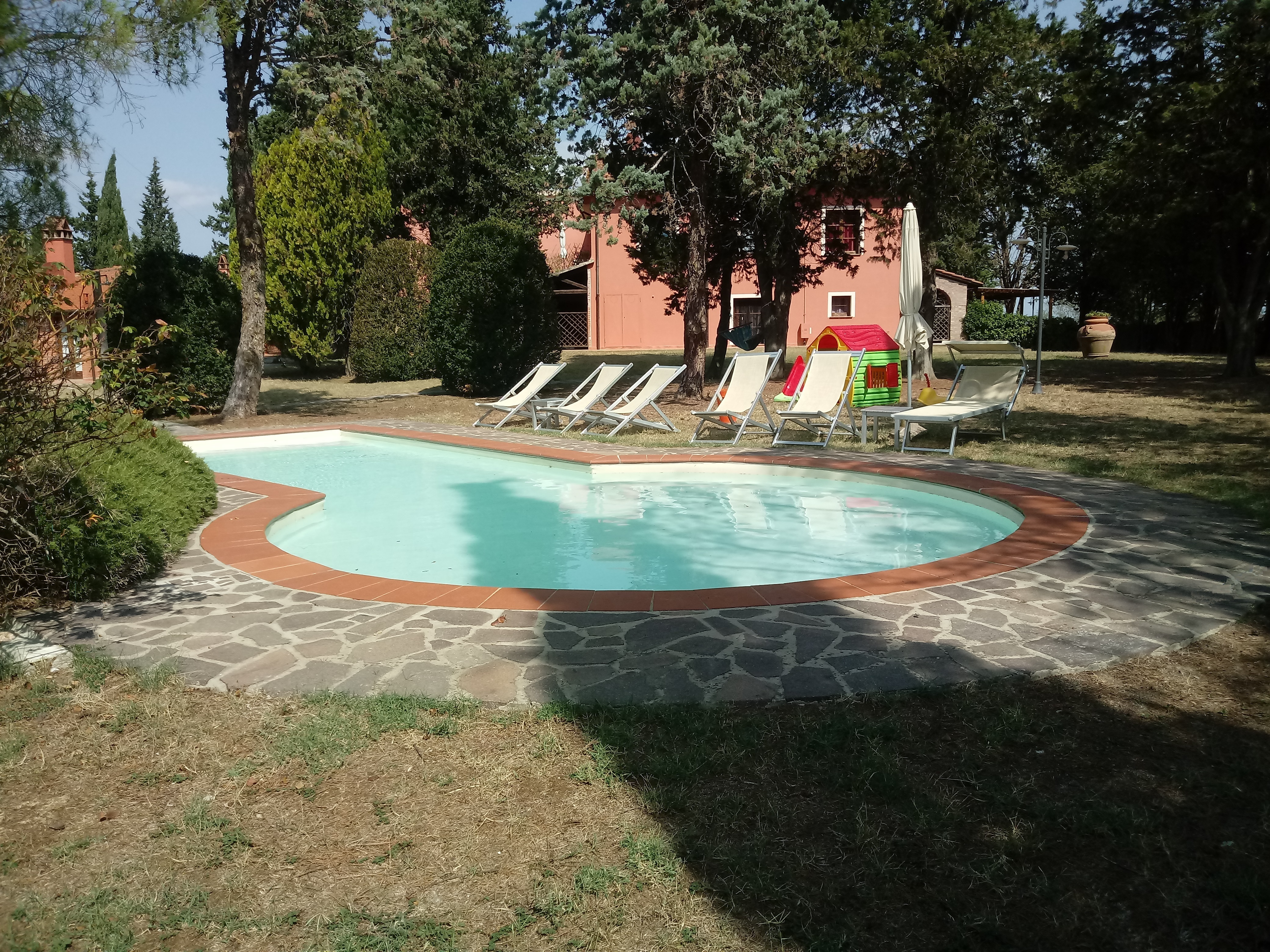 collinella